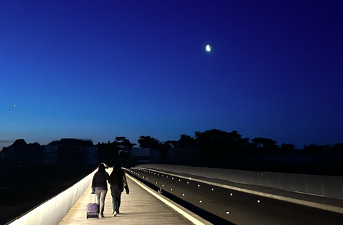 Latest content feature