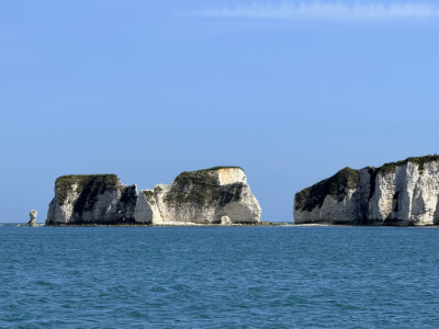 Current location photo - Studland